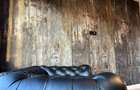 EXCLUSIVITATE!!! Penthouse exclusivist cu 5 camere si terasa - 10