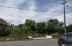 Teren 5000 mp , zona Dragoieni - 4