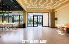 Spatiu comercial 250 mp + terasa 70 mp, Grigorescu, Parter, Ideal HoReCa   Showr - 19