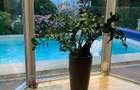 Villa with pool and generous garden | Iancu Nicolae | British School - 21
