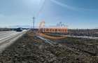 Teren Stupini Calea Feldioarei 11800 mp,25 euro/mp, front asfalt-DN13 - 6