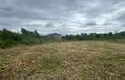 REL4001305 Teren Sisesti Sector 1 - 1