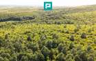 TEREN AGRICOL EXTRAVILAN  22.900 MP LIPOVA - 6