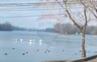 Vanzare Teren 625mp Mogosoaia / Strada Livezilor - 1