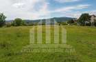 Teren intravilan | Asfalt | 5000mp | 47ml deschidere | Dealul Furcilor - 2