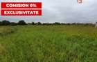 COMISION 0% Teren intravilan 2978 mp la sosea | Sanmihaiu German - ID V5613 - 3