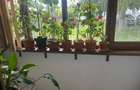 Apartament 2 camere decomandat de vânzare – Str. Soveja - 11