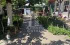 Două case de vânzare în aceeași curte zona Maria - 2