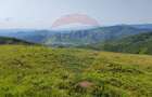 Teren 130000 mp extravilan, faneata si padure, Munteni - Bulz, Negreni - 11