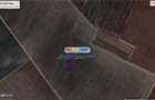 Adunatii Copaceni teren intravilan  14700 mp,deschidere 62m - 3