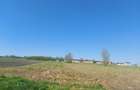 TEREN INTRAVILAN | 4300 MP | HIDISELUL DE SUS | BIHOR - 4