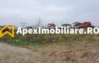 Catelu | Teren 5000MP | Intravilan | 15 Minute Metrou | OPORTUNITATE - 1