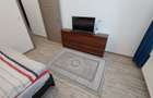 Apartament cu 1 camera decomandat in Tudor Vladimirescu-Rivers Towers - 11