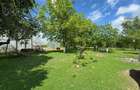 Casa cu 4000 mp teren, Letca Noua, Giurgiu — 40 min de București - 9