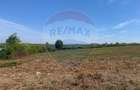 De vânzare teren intravilan 1,955mp , Paleu - 3