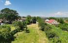 Teren Intravilan 1.251 mp în Rotbav (Brașov) – Toate utilitățile, acces asfaltat - 4