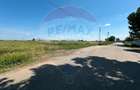Teren 11404 m2 , Biharia la 1km de autostrada A3 si 300m de centura - 4