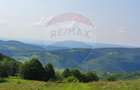 Teren 130000 mp extravilan, faneata si padure, Munteni - Bulz, Negreni - 17