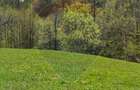 Teren 9735 mp Bran- Predelut / Strada Pe Tarina nr. 70A - 10