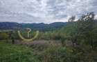 Teren de vanzare ,Tocile, Sibiu, case de vacanta si locuinte - 7