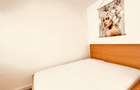 Apartament 2 camere Auchan Vitan, stradal, CENTRALA, mobilat si utilat modern - 15