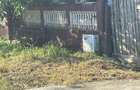 Teren intravilan de vânzare – 1.562 mp | Strada Câmpului, Comuna Vidra - 6
