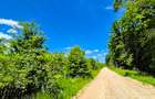 Teren intravilan   Cotmeana Arges - 1