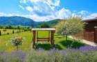 Refugiu pretios:jacuzzi, lemn masiv,2.000 mp teren,4 dormitoare, cuptor, investi - 3