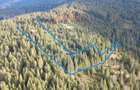 Teren 17,895mp Dorna-Arini / Prelungirea Cozănești - 1