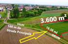 Teren 3.600 m² in Odoreu | 7 km de Satu Mare | 160 m de Principala - 1