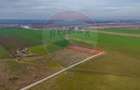Teren intravilan 10.000 mp în Zona Industrială Sud Arad - 8
