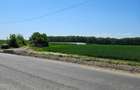 Balteni-Scrovistea, teren intravilan 17.714 mp, lângă pădure - 4