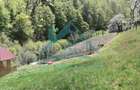 Cabana cocheta de vanzare cu teren generos 3000 mp, Baisoara! - 9