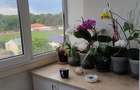 Vânzare apartament 3 camere strada Eroilor nr 8 , zona Sala Sporturilor  - 10