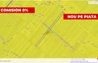 Teren agricol 12.500 mp | Deschidere directă DN61 | Dublu acces | Corbii Mari - 1