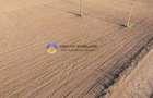 Teren investiție intravilan 3600 mp – Dumbrava Roșie - 4