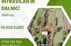 De vânzare teren intravilan în Dalnic! - 1