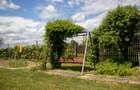 Casă de vânzare cu 3 camere cu curte generoasă - 16