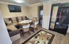 Casa cu 2 camere, 65 mp, teren 2910 mp, in Viile Satu Mare - 11