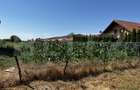 Teren extravilan de vanzare, 1267 mp, zona Draexlmaier - 1