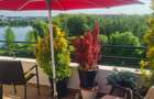 CASA PRESEI OAZA DE LINISTE LAC  APARTAMENT  GRADINA PE LAC LOCATIE UNICA - 6