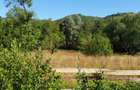 TEREN INTRAVILAN ZĂVOI\ZONA VALEA BISTREI, JUD.C-S - 5