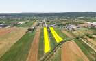 Teren cu potențial de dezvoltare –7427 mp în Argeșelu, Mărăcineni, județul Arges - 1