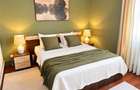 Apartament modern 3 camere balcon curte si parcare Pictor Brana - 10