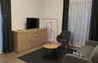 Inchirieri Apartamente 2 Camere Exigent Plaza|Centrala - 2