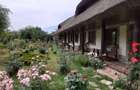 Pensiune agro-turistica in paradisul Deltei Dunarii - 10