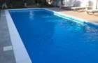Luxury Residence with Pool and 1000 sqm Garden | Iancu Nicolae - 37