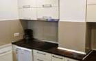 Apartament 2 camere de inchiriat , ultracentral str.Crisanei! - 8