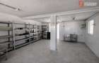 Comision 0% Duplex cu 4 camere, Parter + Mansarda, zona Giarmata Vii - V9206 - 31