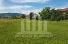 Teren intravilan | Asfalt | 5000mp | 47ml deschidere | Dealul Furcilor - 1